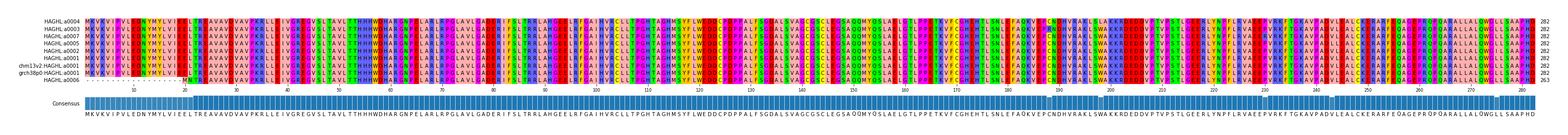 Multiple Alignments (by translate haplotype similarity)