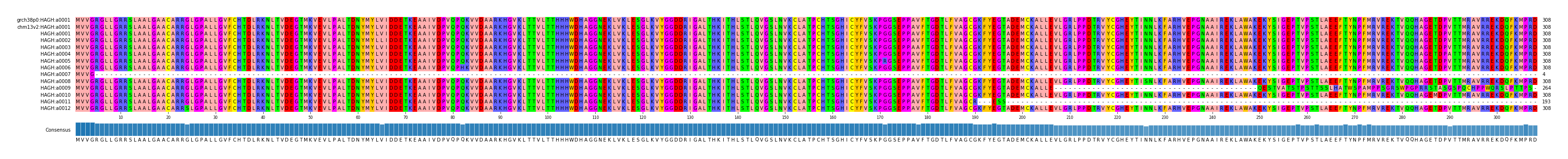 Multiple Alignments (by translate haplotype frequency)