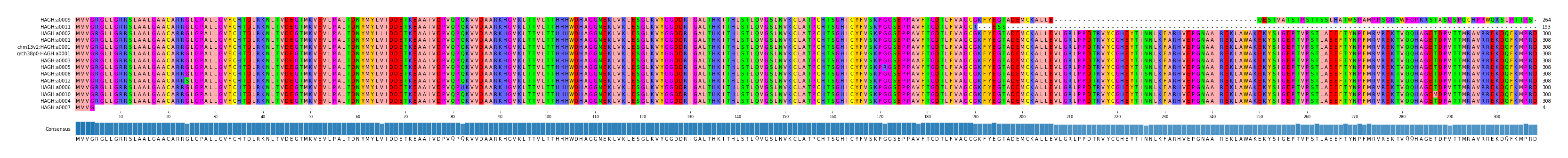 Multiple Alignments (by translate haplotype similarity)