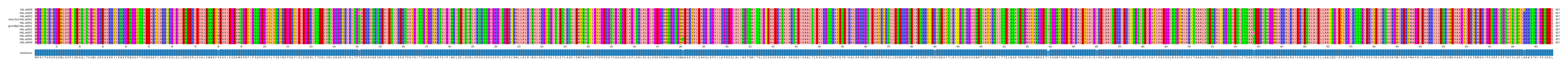 Multiple Alignments (by translate haplotype similarity)