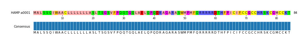 Multiple Alignments (by translate haplotype similarity)