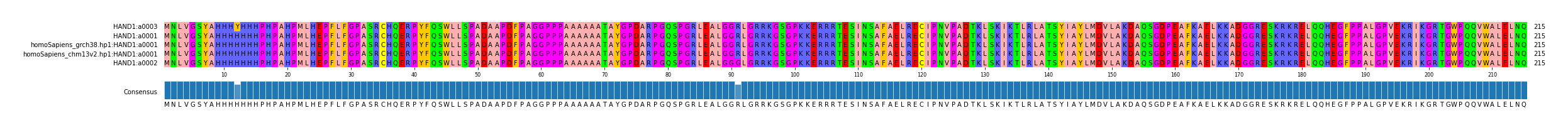 Multiple Alignments (by translate haplotype similarity)