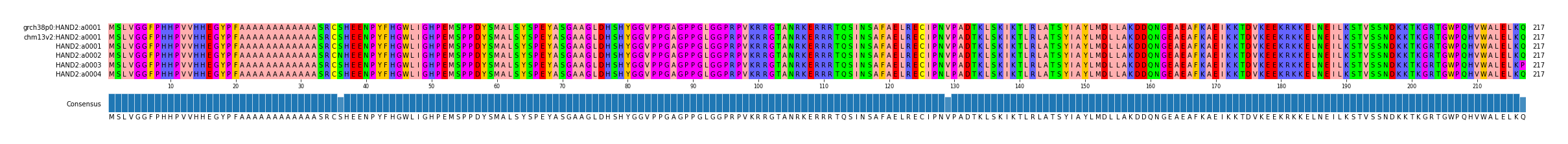Multiple Alignments (by translate haplotype frequency)