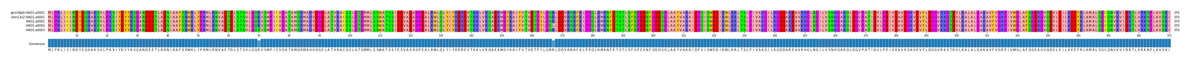 Multiple Alignments (by translate haplotype frequency)