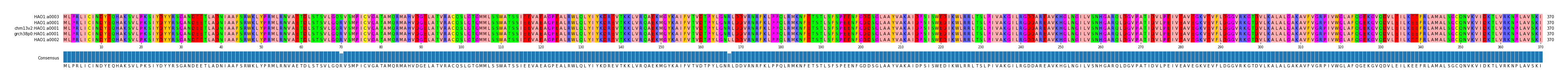 Multiple Alignments (by translate haplotype similarity)