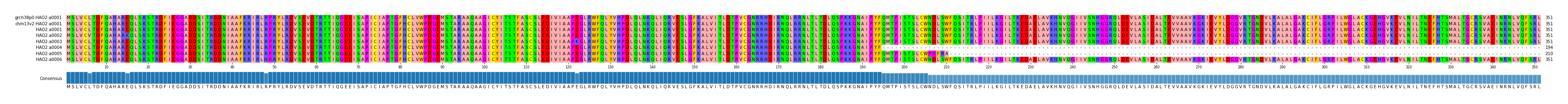 Multiple Alignments (by translate haplotype frequency)