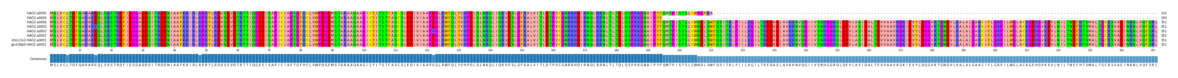 Multiple Alignments (by translate haplotype similarity)