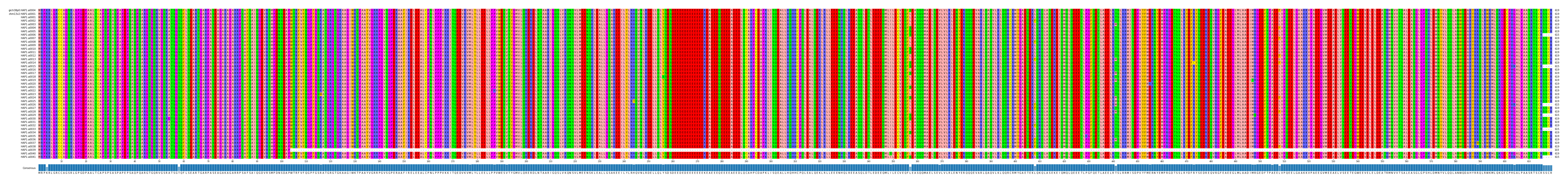 Multiple Alignments (by translate haplotype frequency)