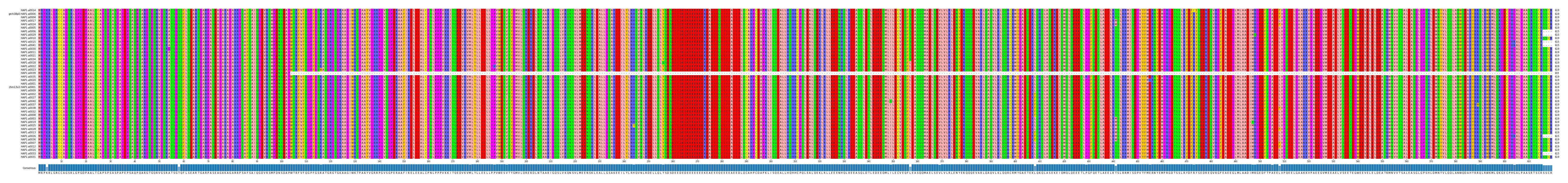 Multiple Alignments (by translate haplotype similarity)