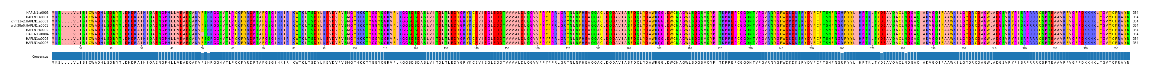 Multiple Alignments (by translate haplotype similarity)