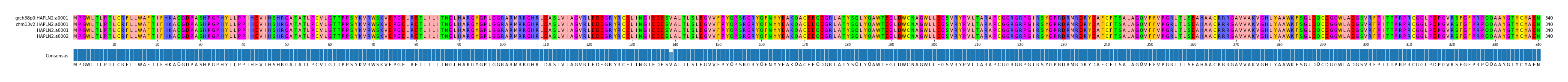 Multiple Alignments (by translate haplotype frequency)