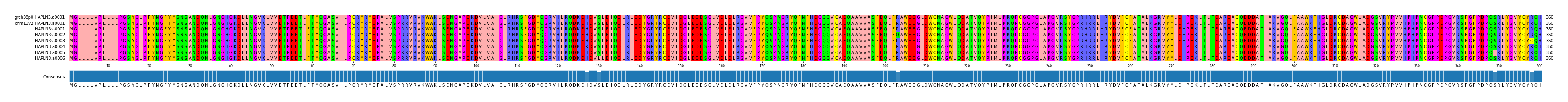 Multiple Alignments (by translate haplotype frequency)