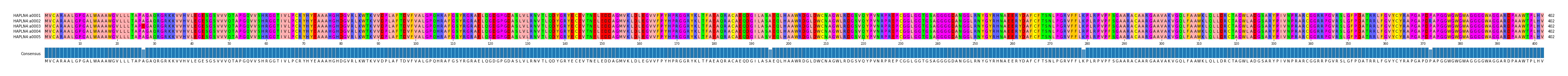 Multiple Alignments (by translate haplotype frequency)
