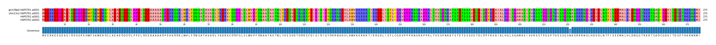 Multiple Alignments (by translate haplotype similarity)
