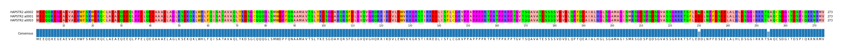 Multiple Alignments (by translate haplotype similarity)