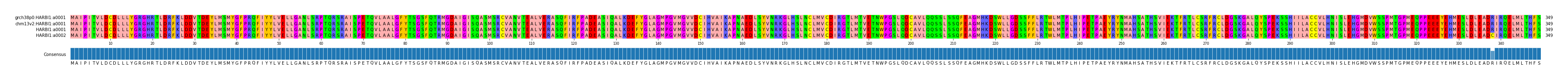 Multiple Alignments (by translate haplotype similarity)