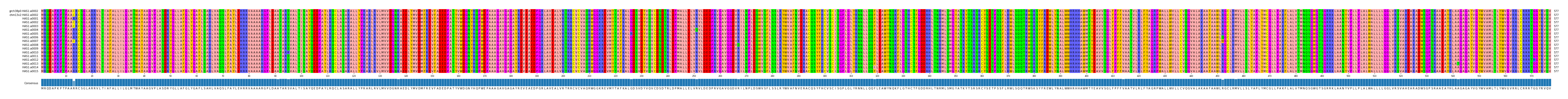Multiple Alignments (by translate haplotype frequency)