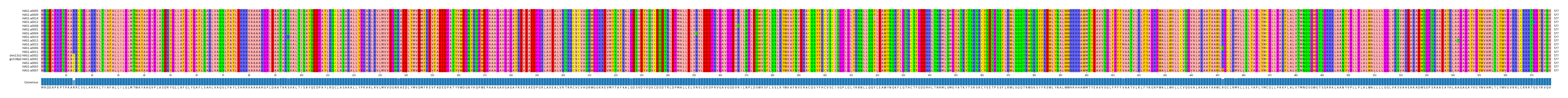Multiple Alignments (by translate haplotype similarity)
