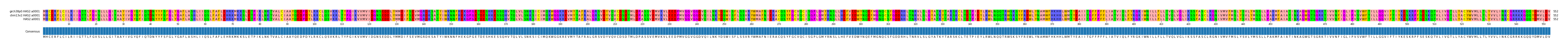 Multiple Alignments (by translate haplotype similarity)