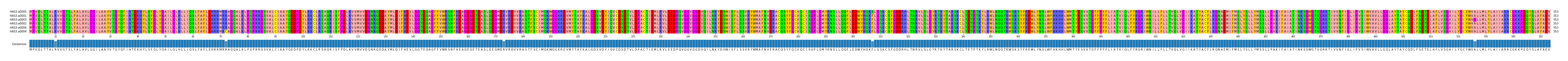 Multiple Alignments (by translate haplotype similarity)