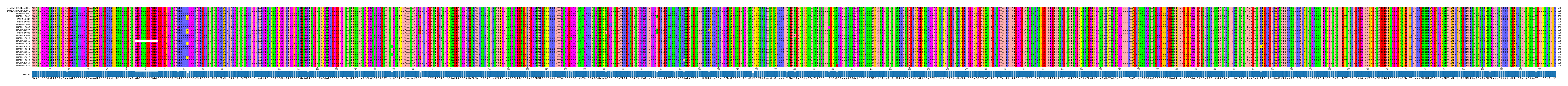 Multiple Alignments (by translate haplotype frequency)