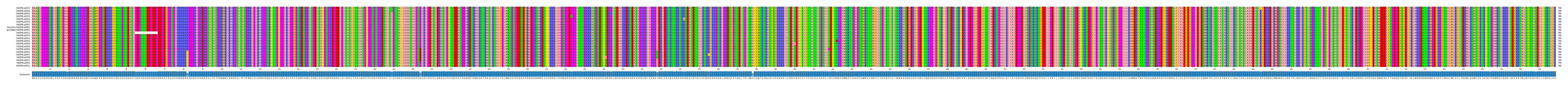 Multiple Alignments (by translate haplotype similarity)