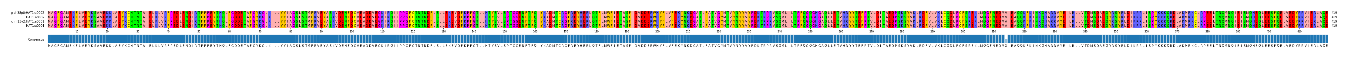 Multiple Alignments (by translate haplotype similarity)