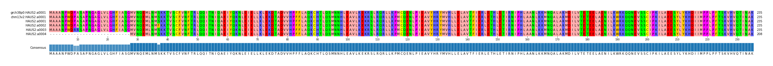 Multiple Alignments (by translate haplotype frequency)