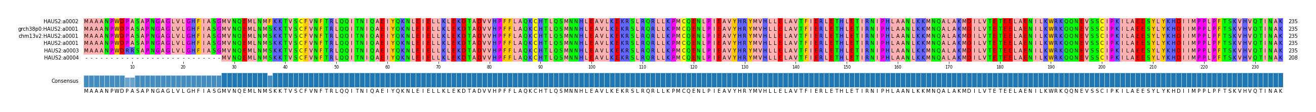 Multiple Alignments (by translate haplotype similarity)