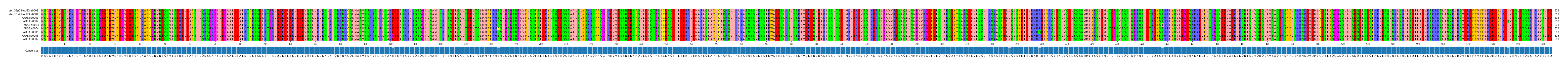 Multiple Alignments (by translate haplotype frequency)