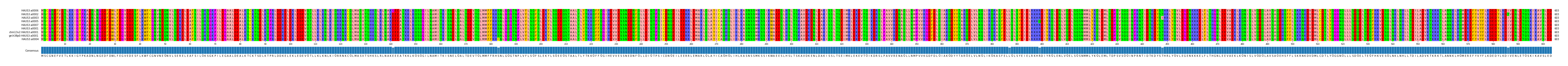 Multiple Alignments (by translate haplotype similarity)