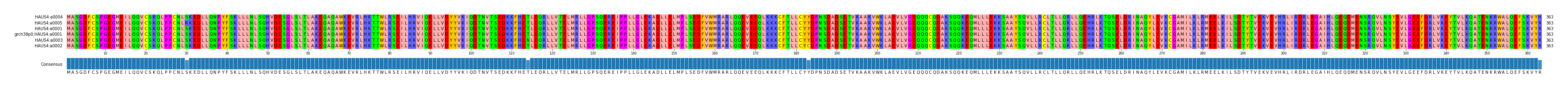 Multiple Alignments (by translate haplotype similarity)