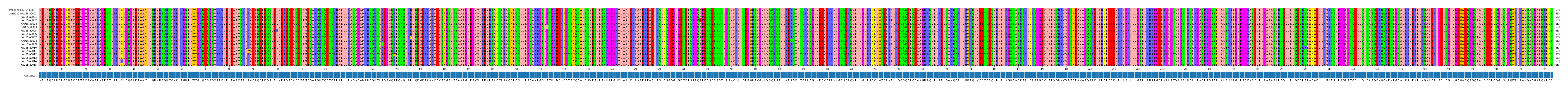 Multiple Alignments (by translate haplotype frequency)