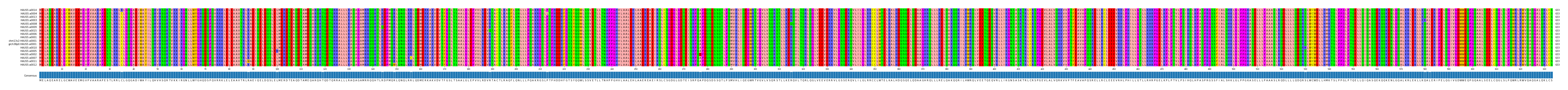 Multiple Alignments (by translate haplotype similarity)
