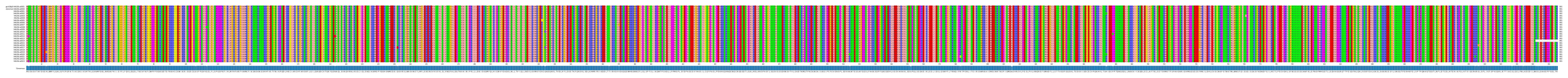 Multiple Alignments (by translate haplotype frequency)