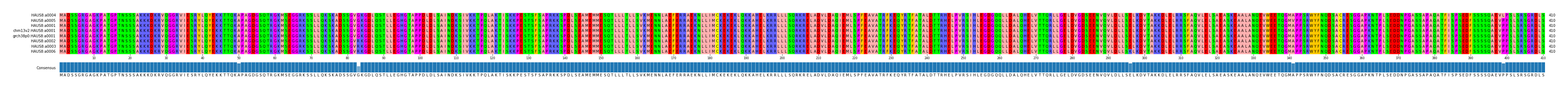 Multiple Alignments (by translate haplotype similarity)
