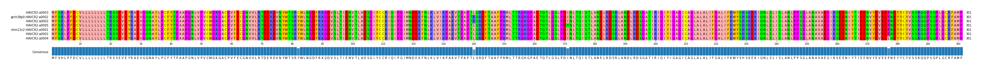 Multiple Alignments (by translate haplotype similarity)