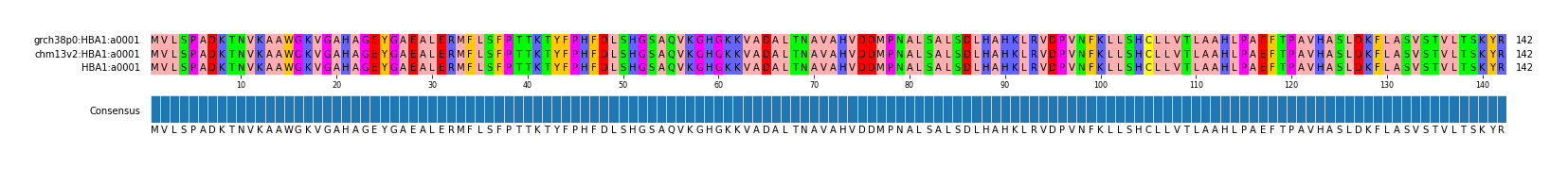 Multiple Alignments (by translate haplotype similarity)