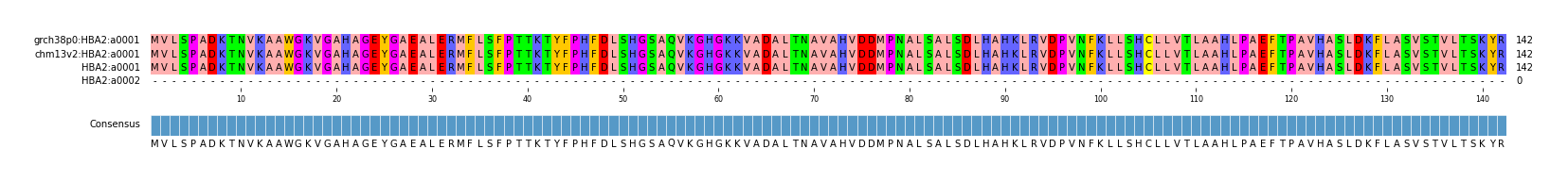 Multiple Alignments (by translate haplotype similarity)