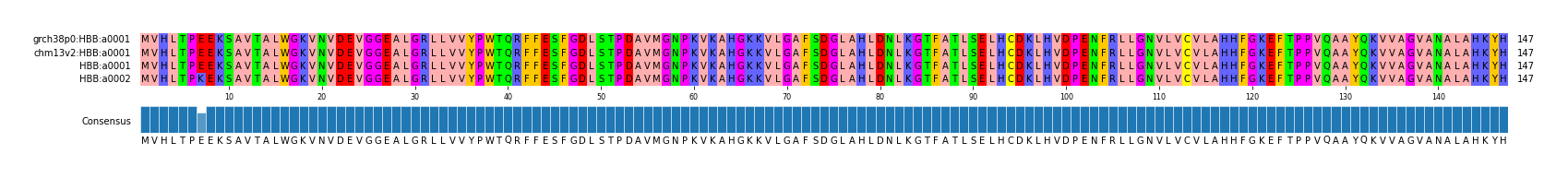 Multiple Alignments (by translate haplotype similarity)