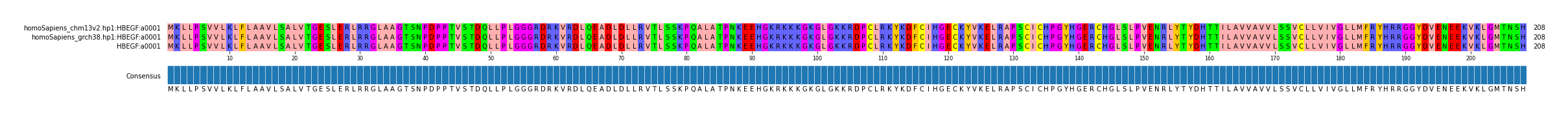 Multiple Alignments (by translate haplotype similarity)