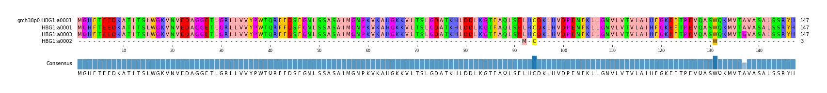 Multiple Alignments (by translate haplotype similarity)