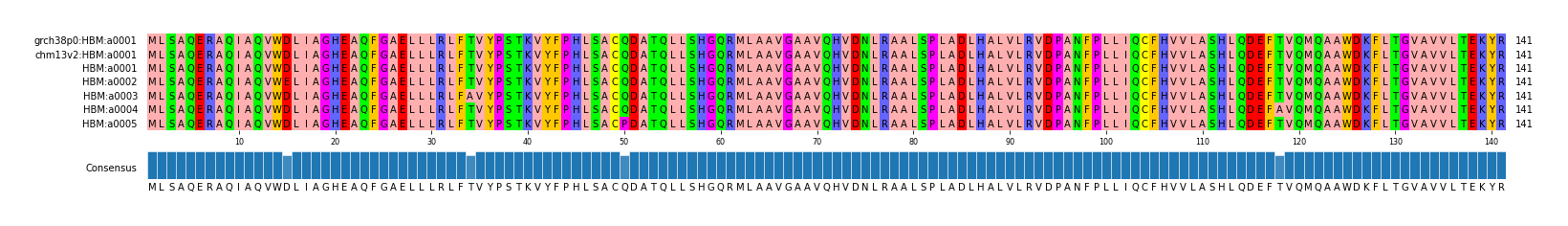 Multiple Alignments (by translate haplotype frequency)
