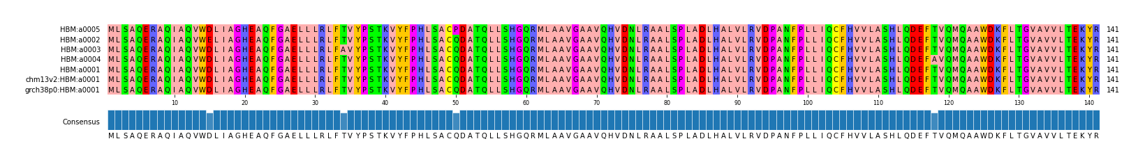 Multiple Alignments (by translate haplotype similarity)