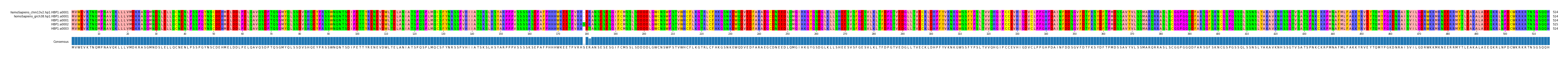 Multiple Alignments (by translate haplotype frequency)