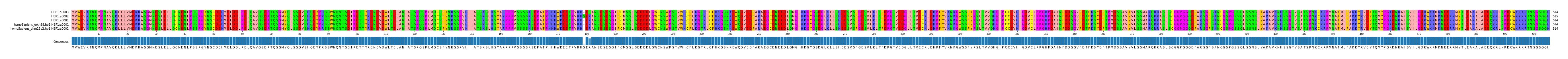 Multiple Alignments (by translate haplotype similarity)