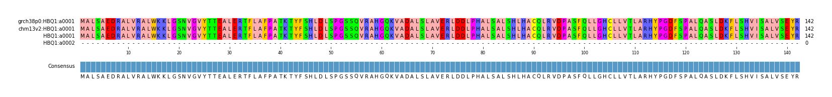 Multiple Alignments (by translate haplotype similarity)