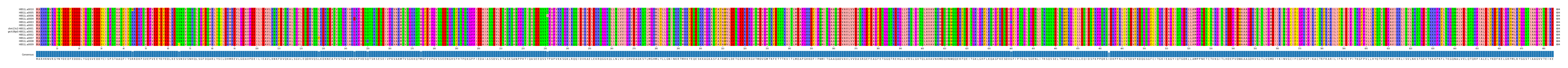Multiple Alignments (by translate haplotype similarity)