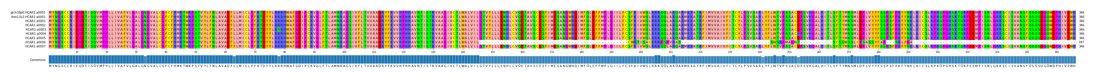Multiple Alignments (by translate haplotype frequency)