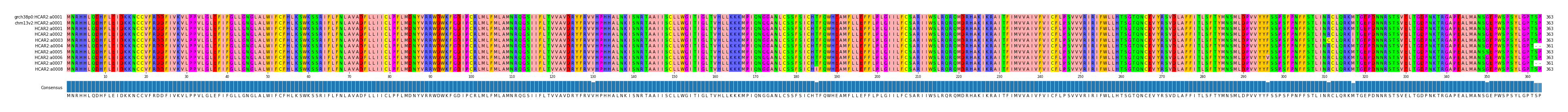Multiple Alignments (by translate haplotype frequency)